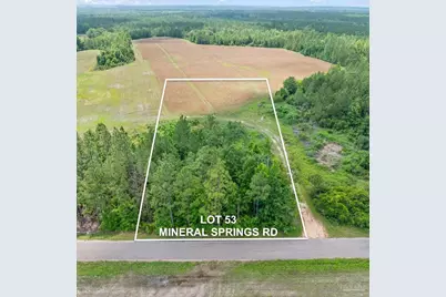 Lot 53 Mineral Springs Rd, Jay, FL 32565 - Photo 2