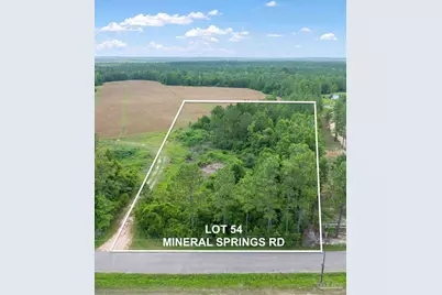 Lot 54 Mineral Springs Rd, Jay, FL 32565 - Photo 2