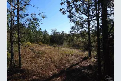 00 Log Lake Rd, Holt, FL 32564 - Photo 4