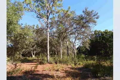 00 Log Lake Rd, Holt, FL 32564 - Photo 8