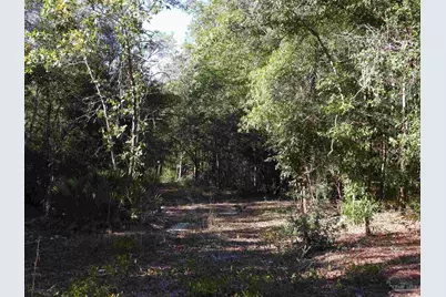 00 Log Lake Rd, Holt, FL 32564 - Photo 10