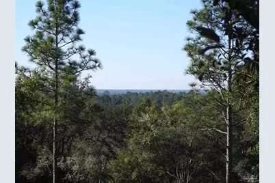 00 Log Lake Rd, Holt, FL 32564 - Photo 6