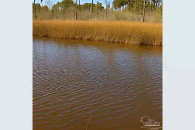 5816 Shady Bayou Ln, Milton, FL 32583 - Photo 4