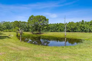 939 Avalon Blvd, Milton, FL 32583 - Photo 4