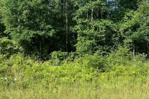 Lot 86 Pineview Church Rd, Jay, FL 32565 - Photo 1