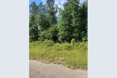 Lot 86 Pineview Church Rd, Jay, FL 32565 - Photo 2