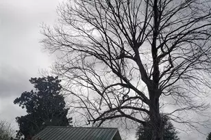 8100 Chumuckla Hwy, Milton, FL 32571 - Photo 1