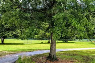 29744 Hwy 17, Millry, AL 36558 - Photo 62