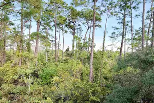 13555 Perdido Key Dr, Perdido Key, FL 32507 - Photo 24