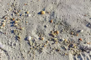 8501 Gulf Blvd, Navarre Beach, FL 32566 - Photo 44