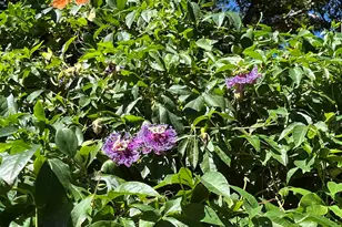 4648 Hickory Shores Blvd, Gulf Breeze, FL 32563 - Photo 4