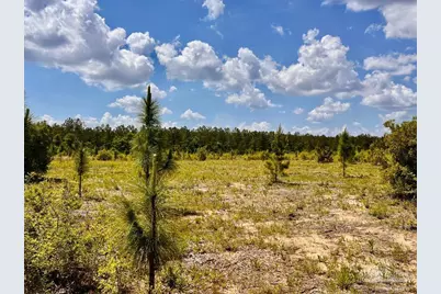 Lot 48 South Timber Ln, Jay, FL 32565 - Photo 14