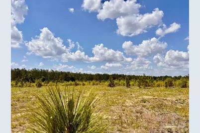Lot 48 South Timber Ln, Jay, FL 32565 - Photo 12