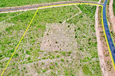 Lot 48 South Timber Ln, Jay, FL 32565 - Photo 6