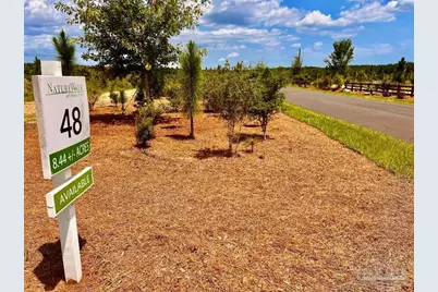 Lot 48 South Timber Ln, Jay, FL 32565 - Photo 10