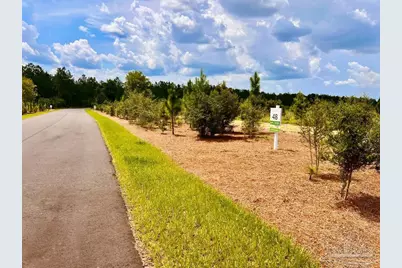 Lot 48 South Timber Ln, Jay, FL 32565 - Photo 8