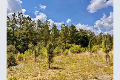 Lot 48 South Timber Ln, Jay, FL 32565 - Photo 20