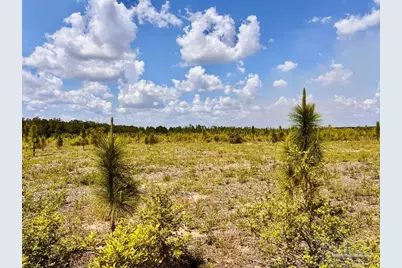 Lot 48 South Timber Ln, Jay, FL 32565 - Photo 16