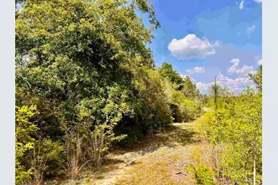 Lot 49 South Timber Ln, Jay, FL 32565 - Photo 26