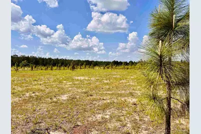 Lot 49 South Timber Ln, Jay, FL 32565 - Photo 12