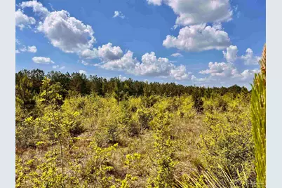 Lot 49 South Timber Ln, Jay, FL 32565 - Photo 18