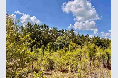 Lot 49 South Timber Ln, Jay, FL 32565 - Photo 20