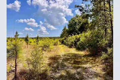 Lot 49 South Timber Ln, Jay, FL 32565 - Photo 22