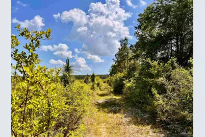Lot 49 South Timber Ln, Jay, FL 32565 - Photo 24