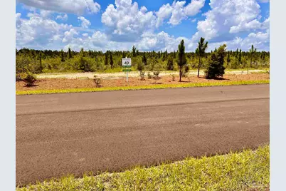 Lot 49 South Timber Ln, Jay, FL 32565 - Photo 10