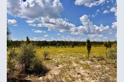 Lot 49 South Timber Ln, Jay, FL 32565 - Photo 14