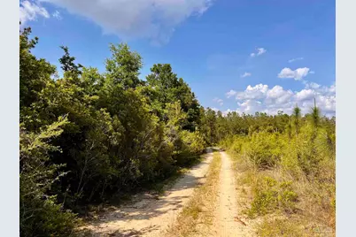 Lot 51 South Timber Ln, Jay, FL 32565 - Photo 28