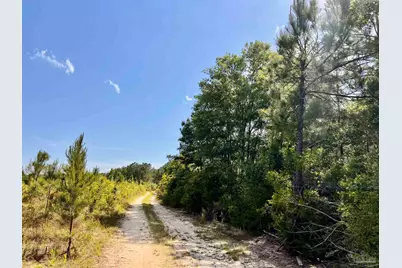 Lot 51 South Timber Ln, Jay, FL 32565 - Photo 26