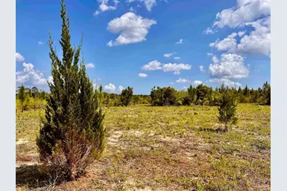 Lot 51 South Timber Ln, Jay, FL 32565 - Photo 22