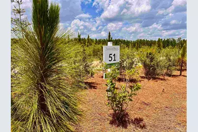 Lot 51 South Timber Ln, Jay, FL 32565 - Photo 10