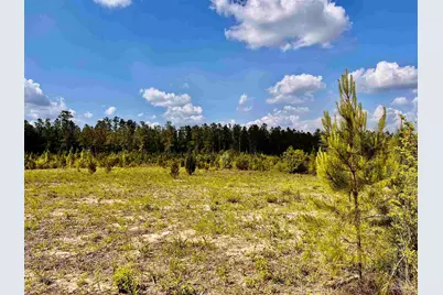 Lot 51 South Timber Ln, Jay, FL 32565 - Photo 14