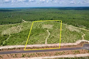 Lot 51 South Timber Ln, Jay, FL 32565 - Photo 1