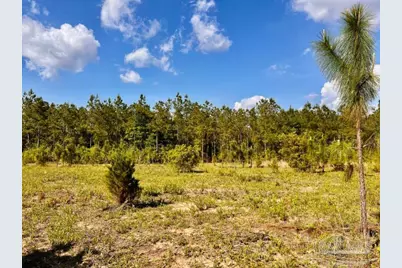 Lot 53 South Timber Ln, Jay, FL 32565 - Photo 10