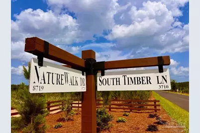 Lot 53 South Timber Ln, Jay, FL 32565 - Photo 22