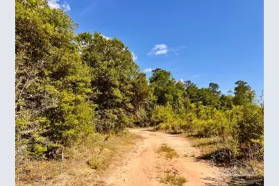 Lot 53 South Timber Ln, Jay, FL 32565 - Photo 20