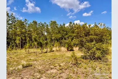 Lot 53 South Timber Ln, Jay, FL 32565 - Photo 12