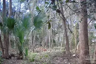 407 Reeves Rd, Pensacola, FL 32507 - Photo 1