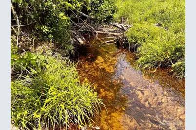 Lot 95 Turning Leaf Rd, Jay, FL 32565 - Photo 18