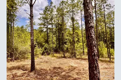 Lot 95 Turning Leaf Rd, Jay, FL 32565 - Photo 24