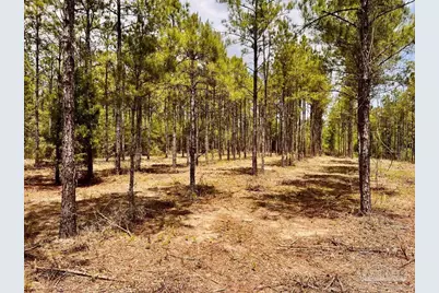 Lot 95 Turning Leaf Rd, Jay, FL 32565 - Photo 12