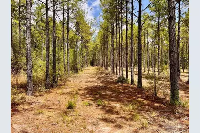 Lot 95 Turning Leaf Rd, Jay, FL 32565 - Photo 10