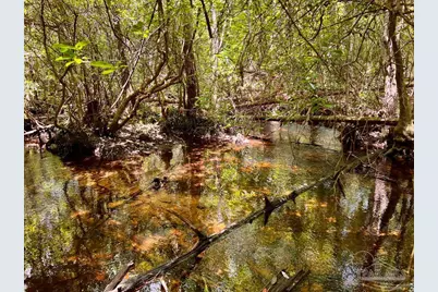 Lot 96 Turning Leaf Rd, Jay, FL 32565 - Photo 16