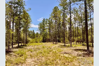 Lot 96 Turning Leaf Rd, Jay, FL 32565 - Photo 24