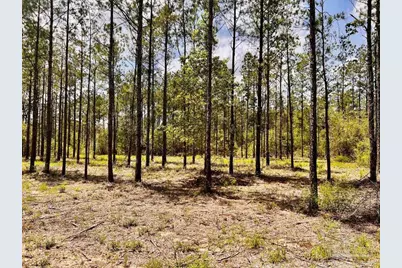 Lot 96 Turning Leaf Rd, Jay, FL 32565 - Photo 20