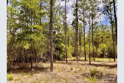 Lot 96 Turning Leaf Rd, Jay, FL 32565 - Photo 26