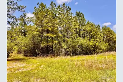 Lot 96 Turning Leaf Rd, Jay, FL 32565 - Photo 12